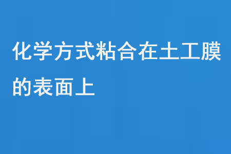 化学方式粘合在土工膜的表面上